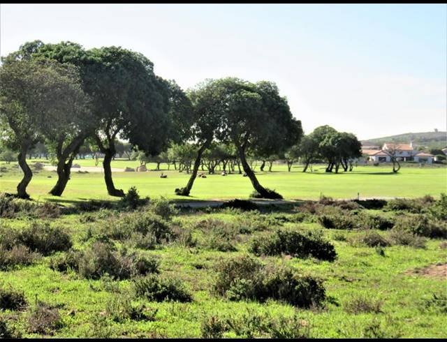 LAND FOR SALE IN LANGEBAAN COUNTRY ESTATE